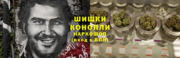 гидра Бородино