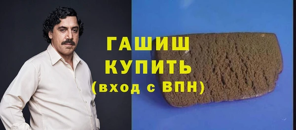 гидра Бородино